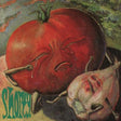 Fresh Breath [CD]