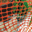 Adult Mom - Momentary Lapse of Happily [Vinyl]