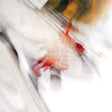 O+S [CD]