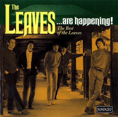 The Leaves - The Leaves...Are Happening! The Best of The Leaves [CD]