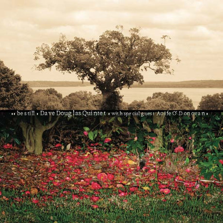 Douglas, Dave Quintet - Be Still [Vinyl]