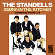 The Standells - Zebra in the Kitchen / Someday You'll Cry [Vinyl]