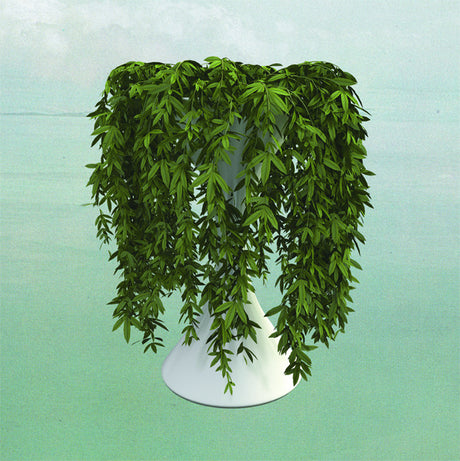 Lease Of Life [Vinyl]
