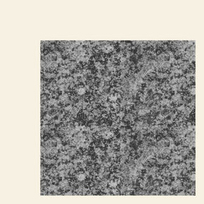 The New Life - 12" [Vinyl]