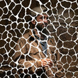 Animals Have Feelings [CD]