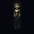 Cistern [Vinyl]