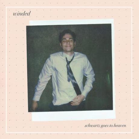 Schwartz Goes To Heaven [Cassette]