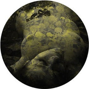Salva - Yellobone - 12” [Vinyl]
