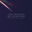 We Disappear [Vinyl]