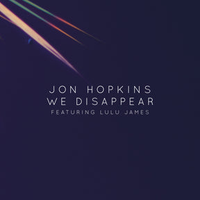 We Disappear [Vinyl]