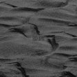 Fogh Depot [Vinyl]