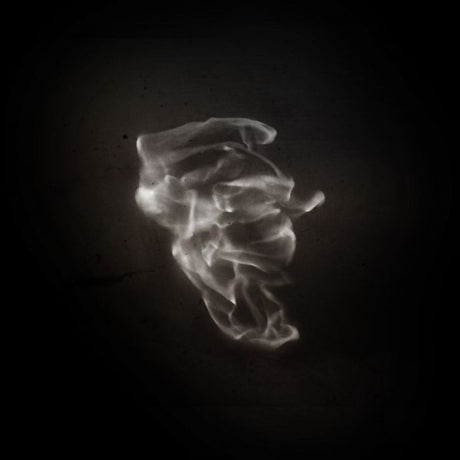 The Little Match Girl [Vinyl]