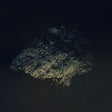 Lost World [Vinyl]