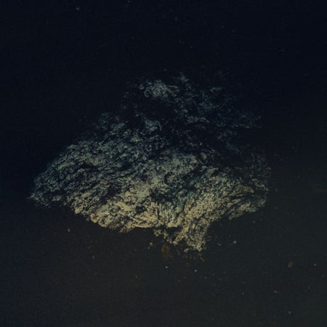 Lost World [Vinyl]