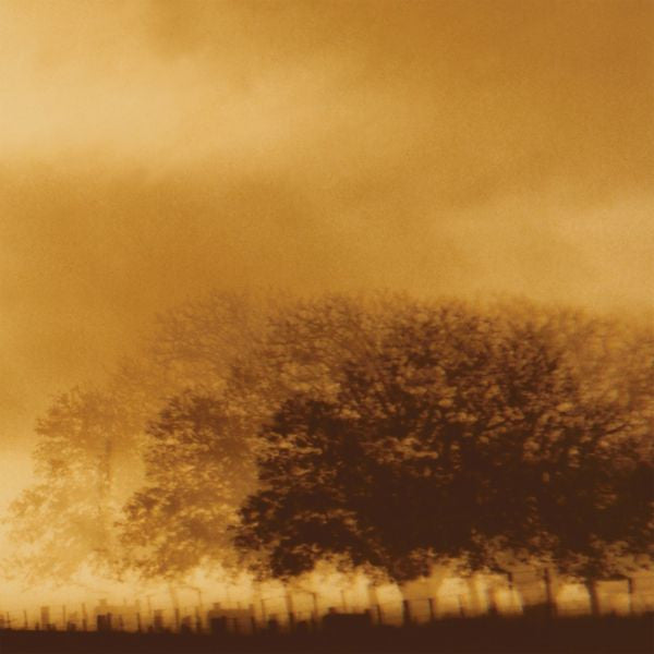 Infinite Light Ltd. [Vinyl]