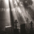 Veni Nox Anima [Vinyl]