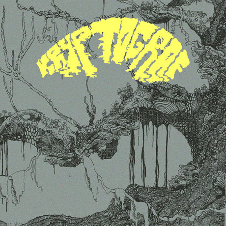 Kryptograf [Vinyl]