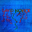 David Novick [Vinyl]