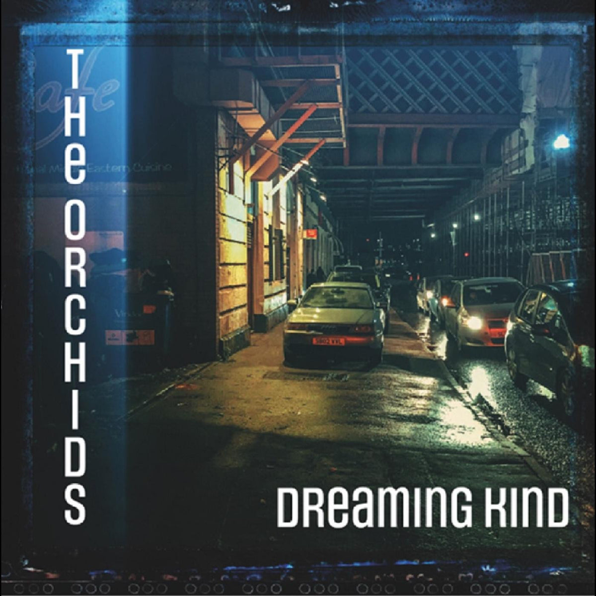 Dreaming Kind [CD]