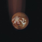 poolblood - mole [CD]