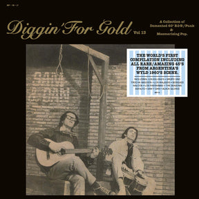 Diggin' For Gold Vol. 13 [Vinyl]