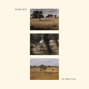 The Forest In Me [Vinyl]