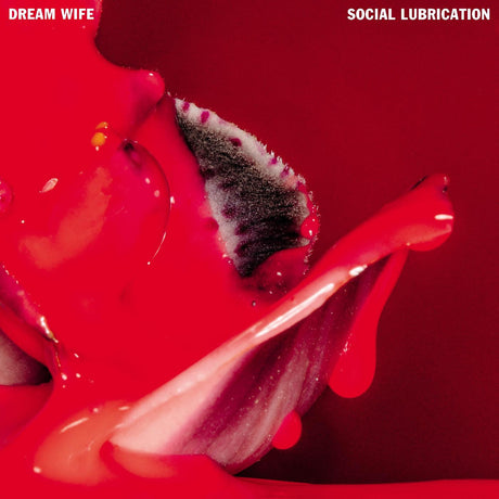 Dream Wife - Social Lubrication [CD]
