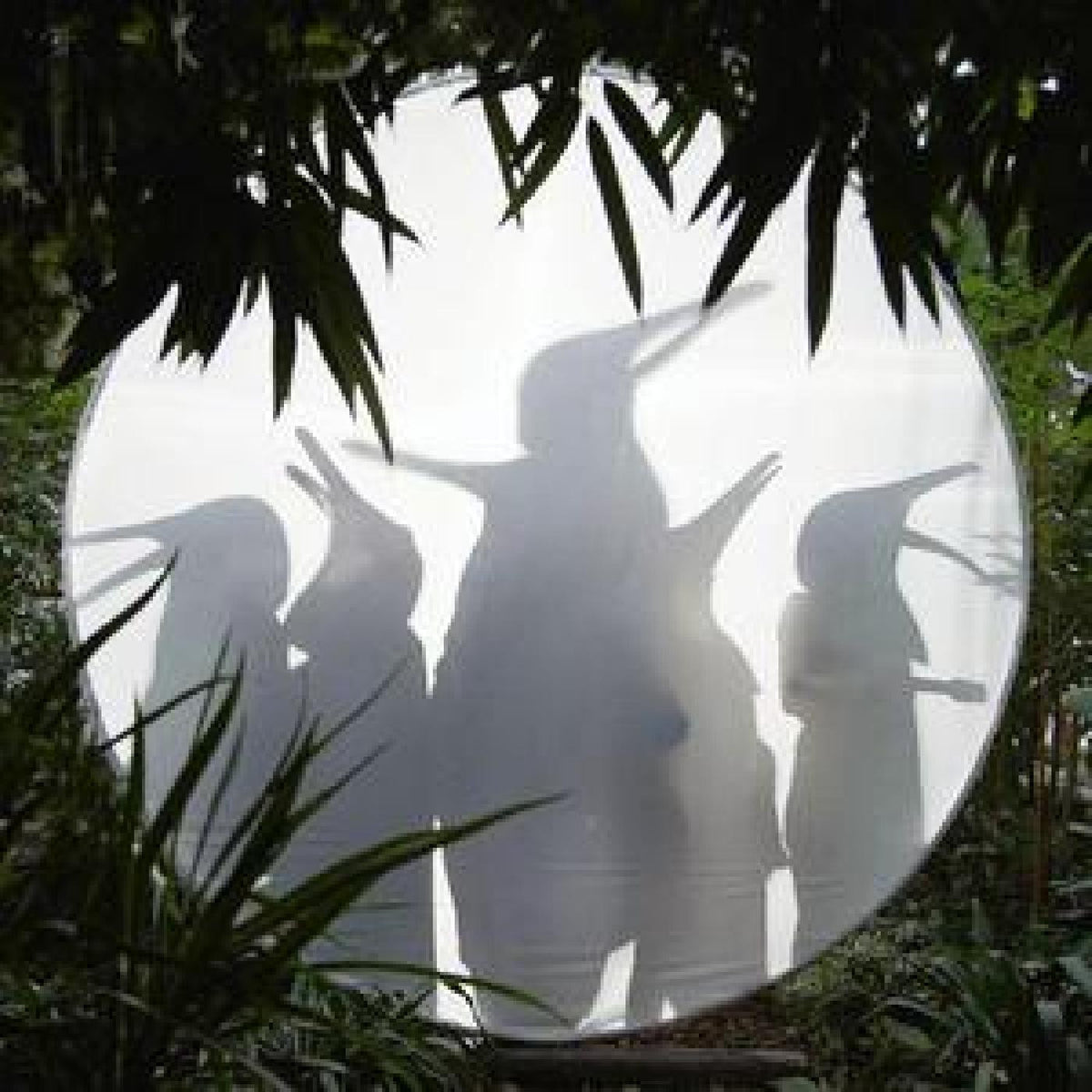 Penguin Cafe - Rain Before Seven... (PETROL GREEN VINYL) [Vinyl]