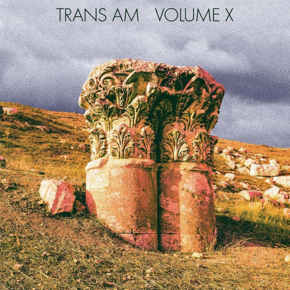 Volume X [Vinyl]