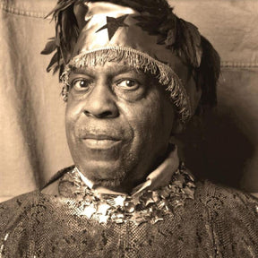Sun Ra - Inside The Light World: Sun Ra Meets The OVC [Vinyl]