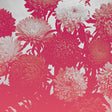 broken things [Vinyl]