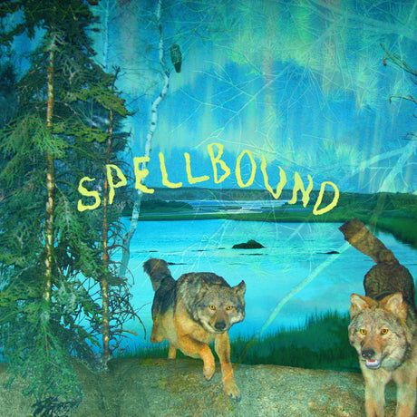 Spellbound [Cassette]