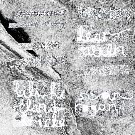 Holland-Fricke, Lili & Sean Rogan - Dear Alien [Vinyl]