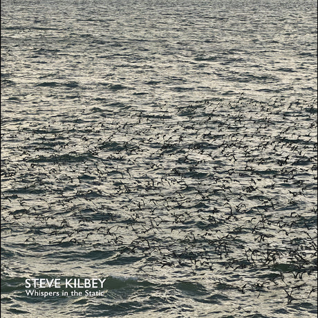 Steve Kilbey - Whispers In The Static (GRAY VINYL) [Vinyl]