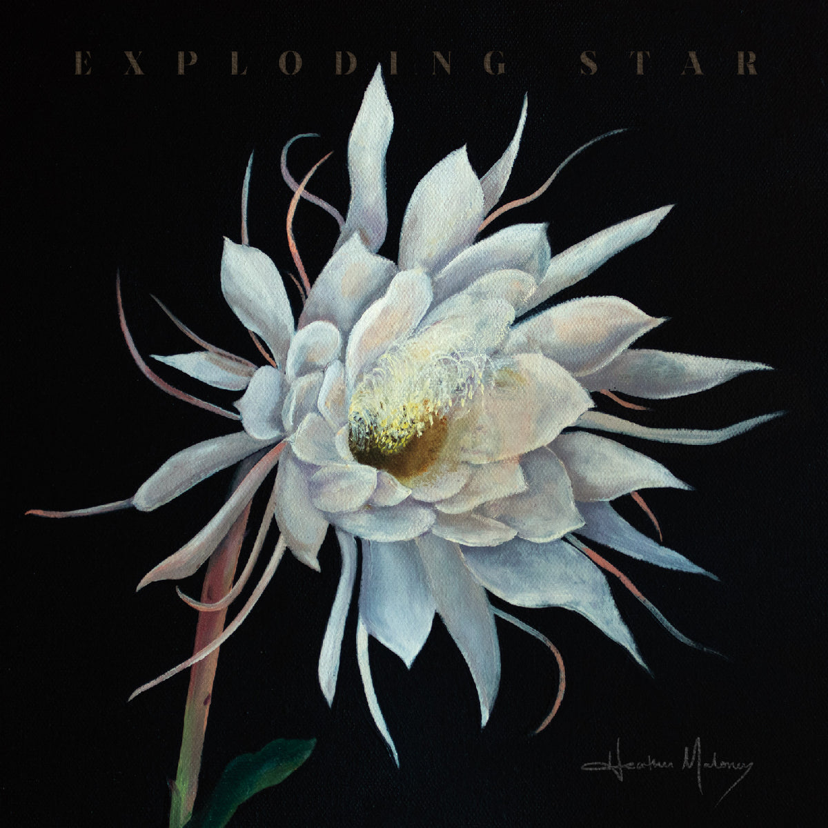 Heather Maloney - Exploding Star [CD]