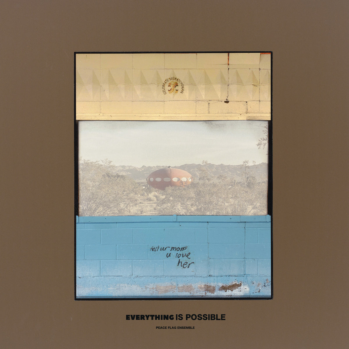 Peace Flag Ensemble - Everything Is Possible [Vinyl]