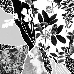 Mon herbier du monde entier [CD]