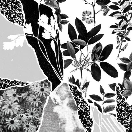 Mon herbier du monde entier [CD]