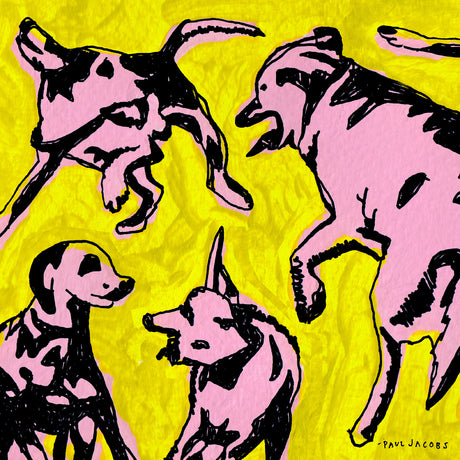 Paul Jacobs - Pink Dogs on the Green Grass [CD]