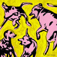Paul Jacobs - Pink Dogs on the Green Grass [Vinyl]