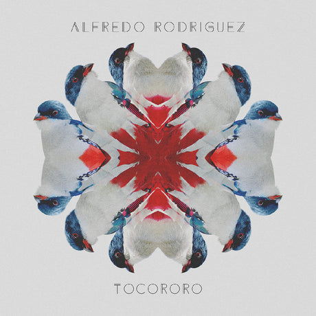 Alfredo Rodriguez - Tocororo [CD]