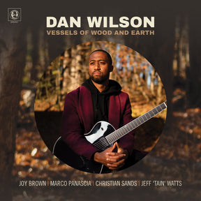 Dan Wilson - Vessels of Wood and Earth [CD]