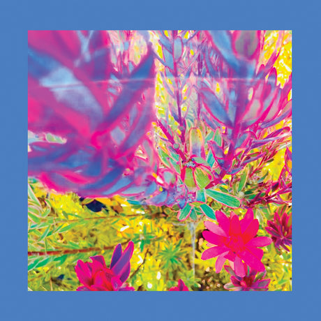 The Past is a Garden I Never Fed (SKY BLUE VINYL) [Vinyl]