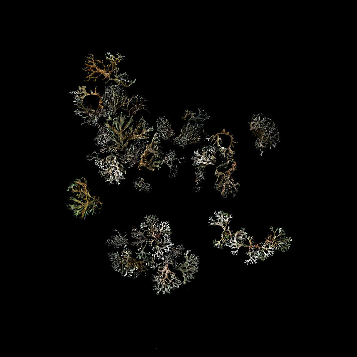 Return [Vinyl]