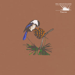 Taurus (ORANGE AND WHITE MARBLE VINYL) [Vinyl]