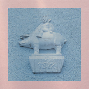 Pets (COKE BOTTLE CLEAR VINYL) [Vinyl]