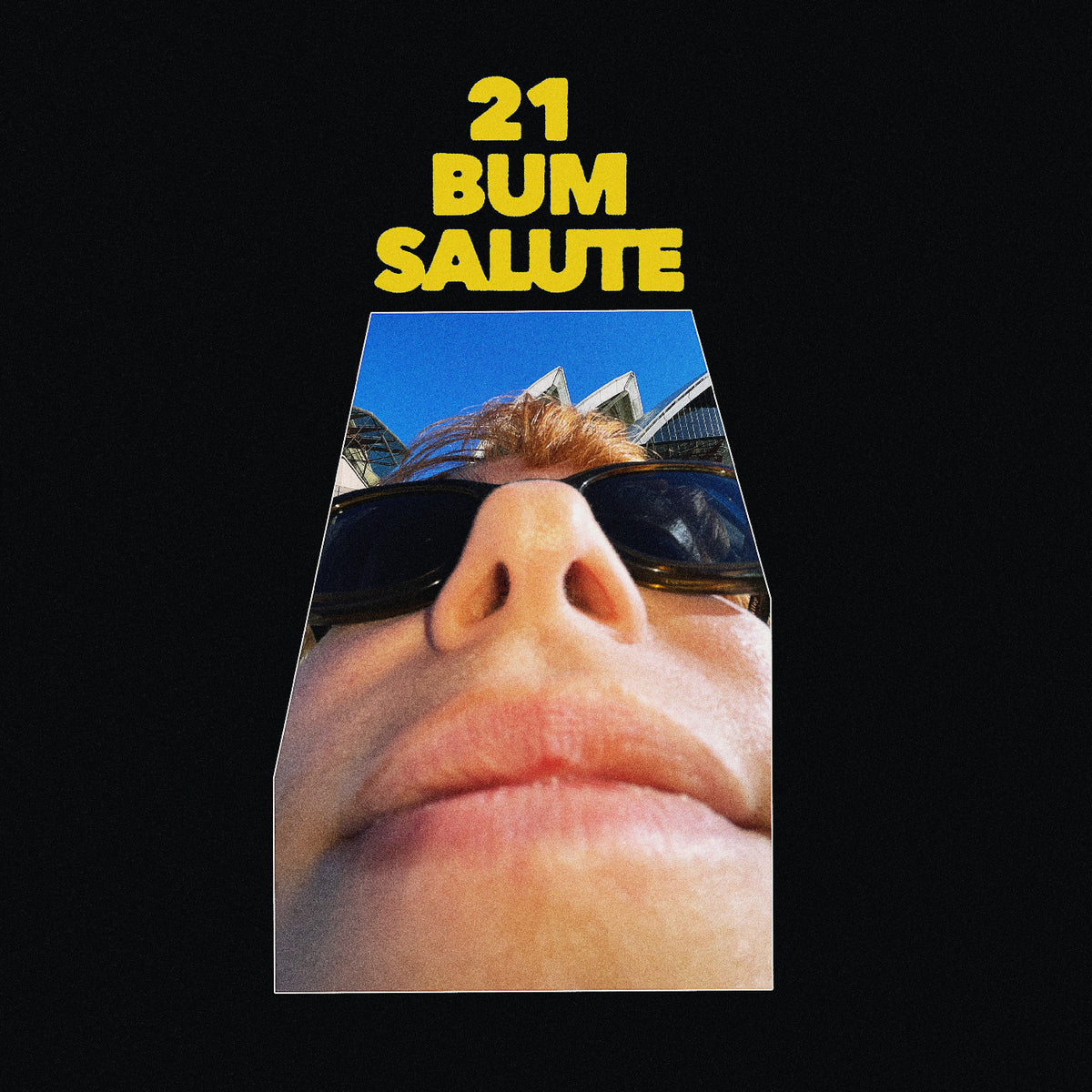 Party Dozen - 21 Bum Salute [Vinyl]