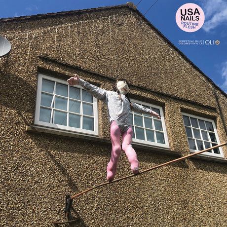 Routine Flesh (TRANSLUCENT BLUE VINYL) [Vinyl]