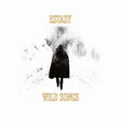 the album cover for Estasy - Wild Songs