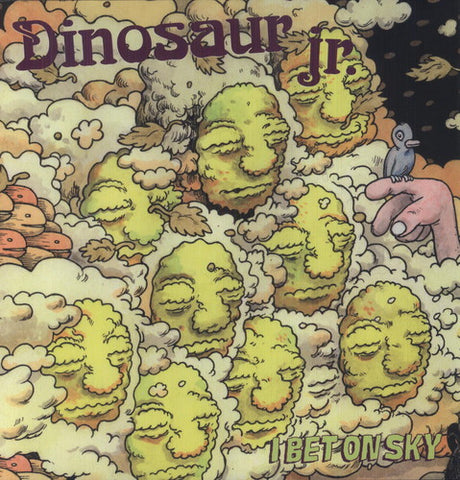 the album cover for Dinosaur Jr. - I Bet on Sky